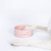 Party Pet Bowl 14cm Set of 2