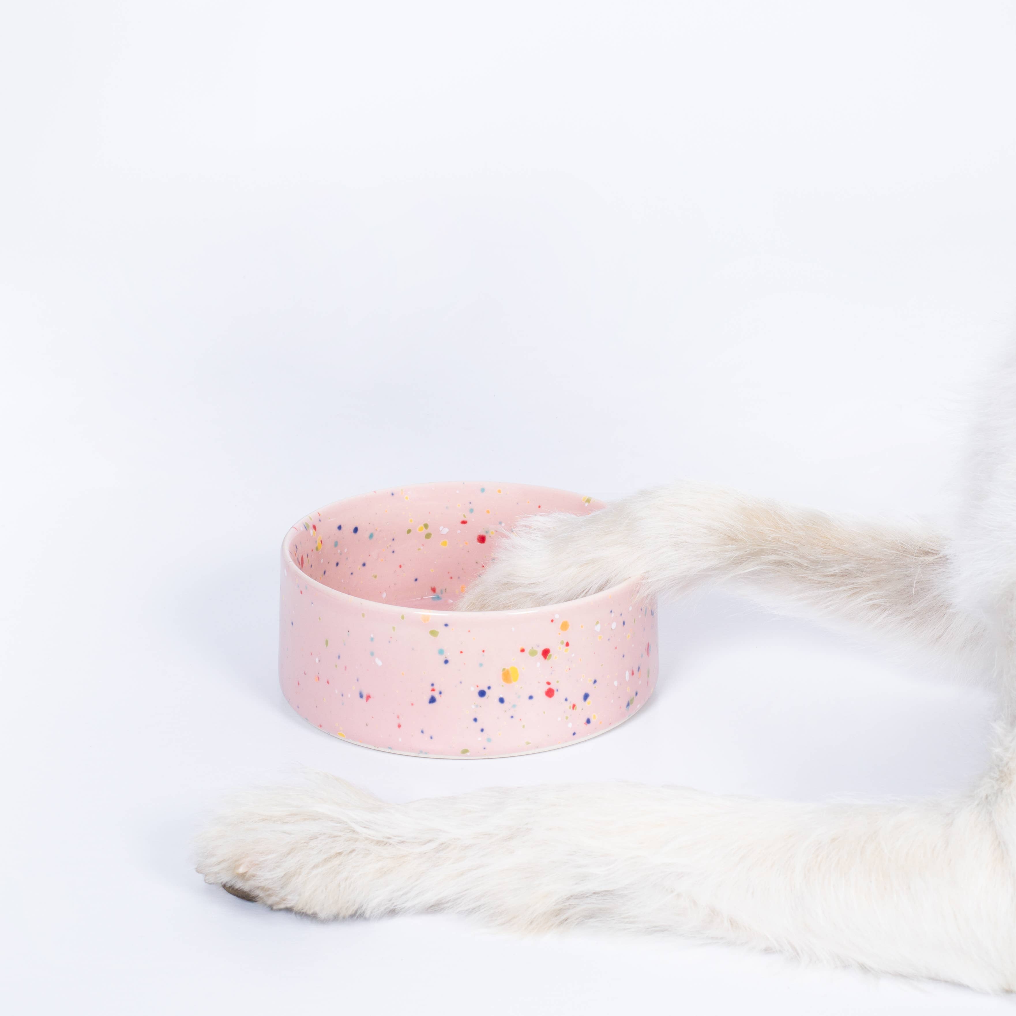 Party Pet Bowl 14cm Set of 2
