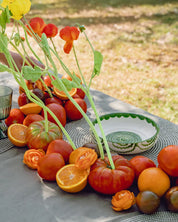 Large Grater Plate - Root – Handmade Grater by Alfar Tierra Cocida - Kúbome