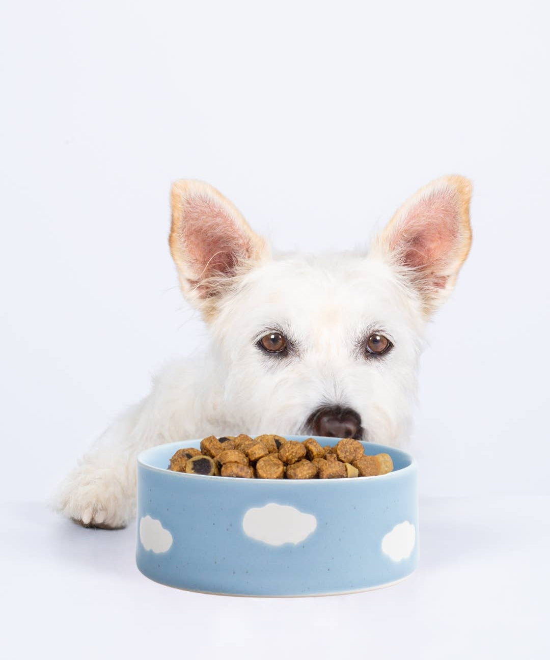 Cloud Pet Bowl 14cm - 2 Pieces Set – Handmade Pet Bowls by Egg Back Home - Kúbome