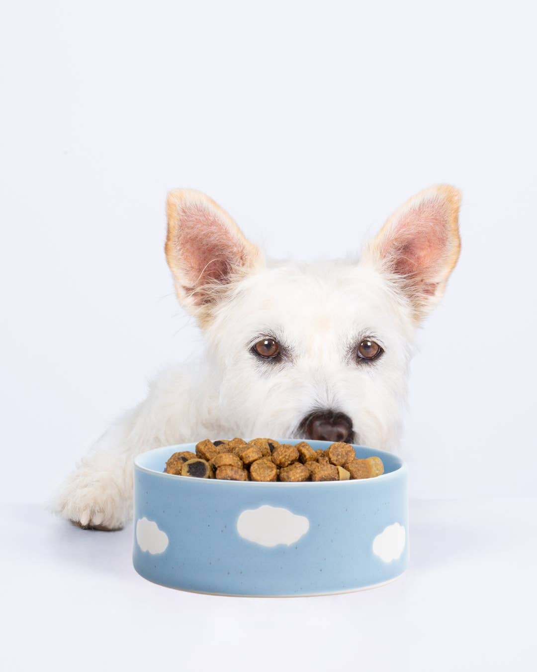 Cloud Pet Bowl 14cm - 2 Pieces Set – Handmade Pet Bowls by Egg Back Home - Kúbome