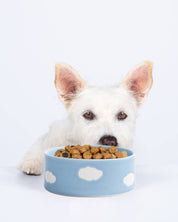 Cloud Pet Bowl 14cm - 2 Pieces Set – Handmade Pet Bowls by Egg Back Home - Kúbome
