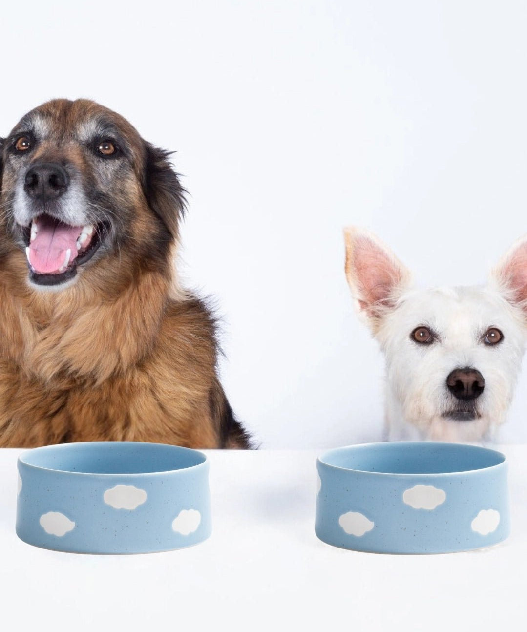 Cloud Pet Bowl 16.5cm 2 Pieces Set – Handmade Pet Bowl by Egg Back Home - Kúbome