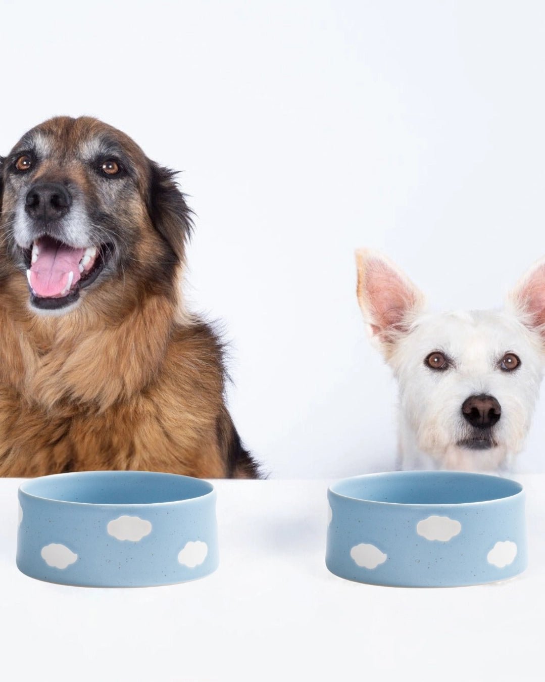 Cloud Pet Bowl 16.5cm 2 Pieces Set – Handmade Pet Bowl by Egg Back Home - Kúbome