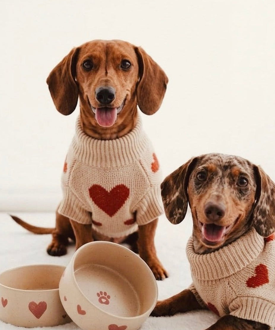 Cosy Hearts Stoneware Pet Bowl 16.5cm 2 Pieces Set – Handmade Pet Bowls by Egg Back Home - Kúbome