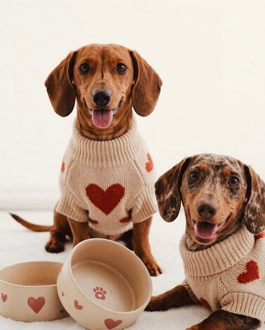 Cosy Hearts Stoneware Pet Bowl 16.5cm 2 Pieces Set – Handmade Pet Bowls by Egg Back Home - Kúbome