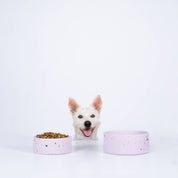 Party Pet Bowl 14cm Set of 2 - Lilac – Handmade Pet Bowls by Egg Back Home - Kúbome