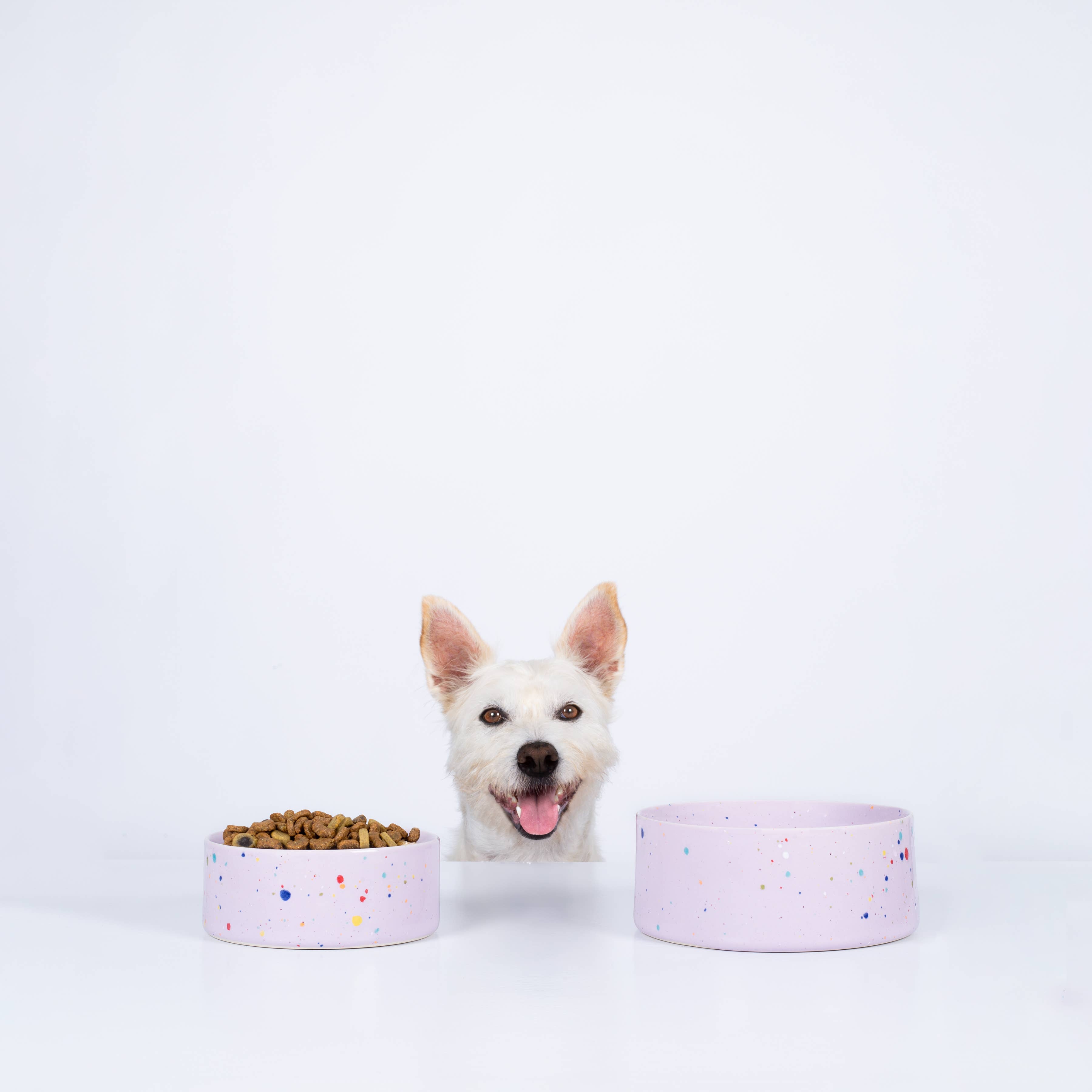 Party Pet Bowl 14cm Set of 2 - Lilac – Handmade Pet Bowls by Egg Back Home - Kúbome