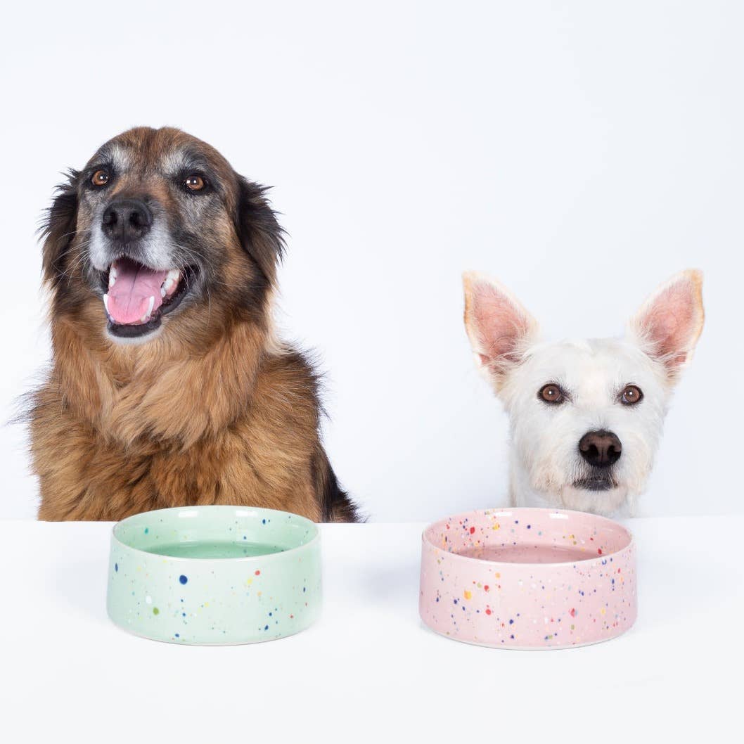 Party Pet Bowl 16.5cm Set of 2 – Handmade Pet Bowls by Egg Back Home - Kúbome