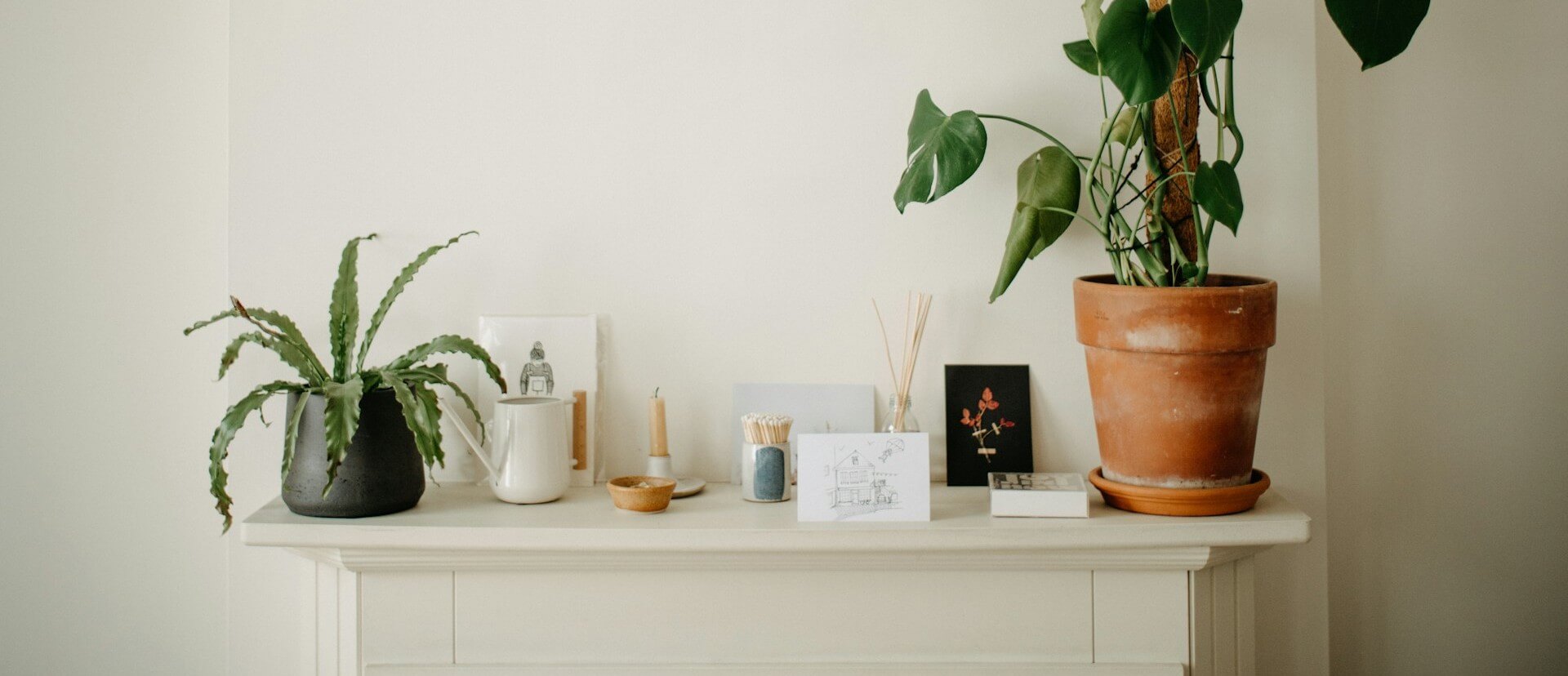 Decorative shelf with plants, candles, and small objects against a white wall.
