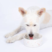 Party Pet Bowl 14cm Set of 2